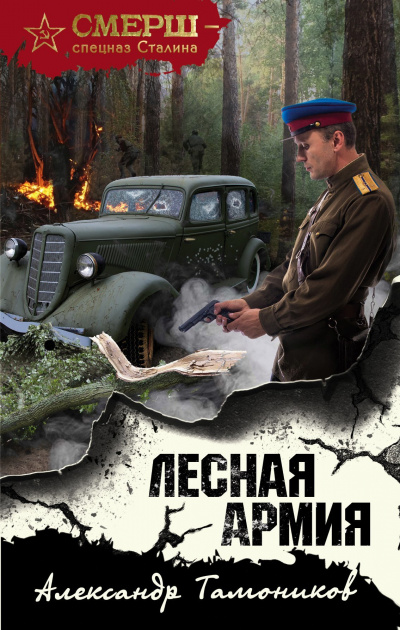 Лесная армия - Александр Тамоников - Аудиокниги слушать онлайн бесплатно без регистрации | электронная библиотека knigi-audio.info