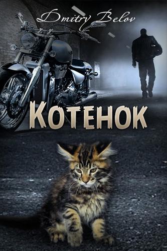Котёнок - Дмитрий Белов - Аудиокниги слушать онлайн бесплатно без регистрации | электронная библиотека knigi-audio.info