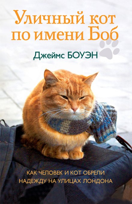 Уличный кот по имени Боб - Джеймс Боуэн - Аудиокниги слушать онлайн бесплатно без регистрации | электронная библиотека knigi-audio.info
