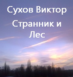 Странник и Лес - Сухов Виктор - Аудиокниги слушать онлайн бесплатно без регистрации | электронная библиотека knigi-audio.info