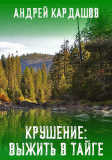 Крушение: Выжить в Тайге - Андрей Кардашов - Аудиокниги слушать онлайн бесплатно без регистрации | электронная библиотека knigi-audio.info