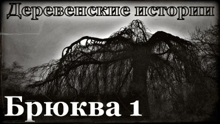Брюква - Роман Пономарев - Аудиокниги слушать онлайн бесплатно без регистрации | электронная библиотека knigi-audio.info