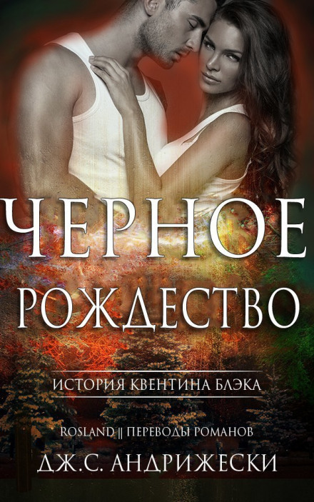 Чёрное Рождество - Дж. С. Андрижески - Аудиокниги слушать онлайн бесплатно без регистрации | электронная библиотека knigi-audio.info