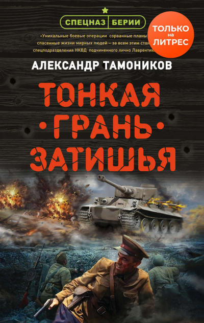 Тонкая грань затишья - Александр Тамоников - Аудиокниги слушать онлайн бесплатно без регистрации | электронная библиотека knigi-audio.info
