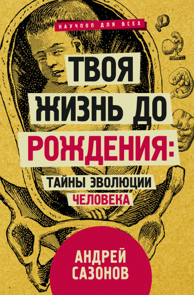 Твоя жизнь до рождения: тайны эволюции человека - Андрей Сазонов - Аудиокниги слушать онлайн бесплатно без регистрации | электронная библиотека knigi-audio.info