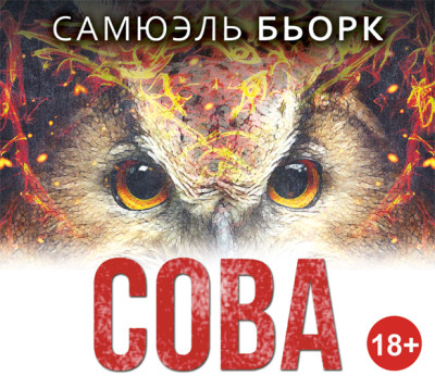 Сова - Бьорк Самюэль - Аудиокниги слушать онлайн бесплатно без регистрации | электронная библиотека knigi-audio.info