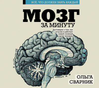 Мозг за минуту - Сварник Ольга Е. - Аудиокниги слушать онлайн бесплатно без регистрации | электронная библиотека knigi-audio.info