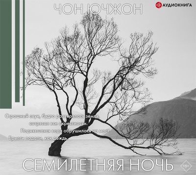 Семилетняя ночь - Ючжон Чон - Аудиокниги слушать онлайн бесплатно без регистрации | электронная библиотека knigi-audio.info