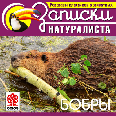 Рассказы классиков о животных. Бобры - Коллектив авторов - Аудиокниги слушать онлайн бесплатно без регистрации | электронная библиотека knigi-audio.info