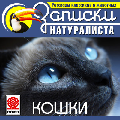 Рассказы классиков о животных. Кошки - Коллектив авторов - Аудиокниги слушать онлайн бесплатно без регистрации | электронная библиотека knigi-audio.info