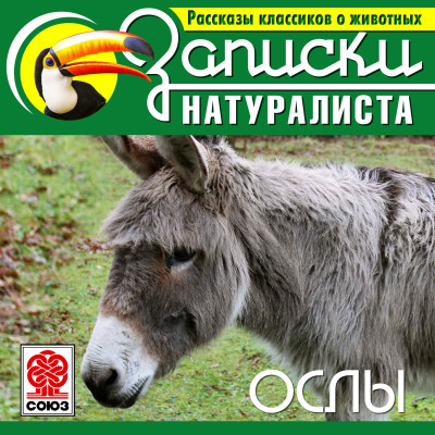 Рассказы классиков о животных. Ослы - Грей Джеймс - Аудиокниги слушать онлайн бесплатно без регистрации | электронная библиотека knigi-audio.info