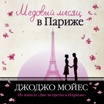 Медовый месяц в Париже (Две встречи в Париже) - Мойес Джоджо - Аудиокниги слушать онлайн бесплатно без регистрации | электронная библиотека knigi-audio.info