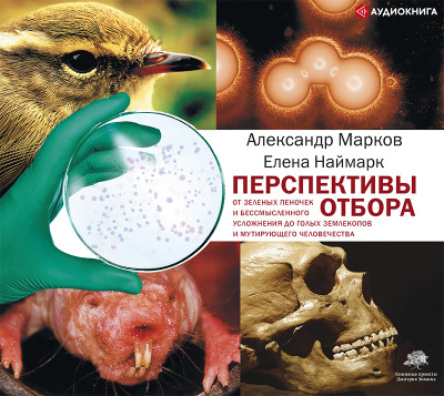 Перспективы отбора - Марков Александр - Аудиокниги слушать онлайн бесплатно без регистрации | электронная библиотека knigi-audio.info