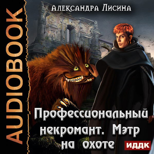 Профессиональный некромант. Книга 4. Мэтр на охоте - Лисина Александра - Аудиокниги слушать онлайн бесплатно без регистрации | электронная библиотека knigi-audio.info