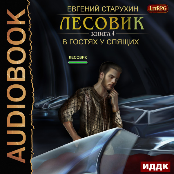 Лесовик. Книга 4. В гостях у спящих - Старухин Евгений - Аудиокниги слушать онлайн бесплатно без регистрации | электронная библиотека knigi-audio.info