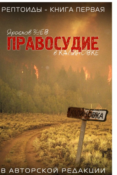 Правосудие в Калиновке - Ярослав Зуев - Аудиокниги слушать онлайн бесплатно без регистрации | электронная библиотека knigi-audio.info