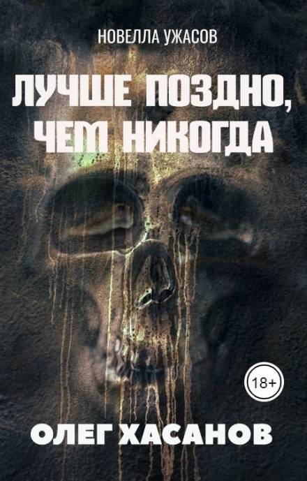 Лучше поздно, чем никогда - Олег Хасанов - Аудиокниги слушать онлайн бесплатно без регистрации | электронная библиотека knigi-audio.info