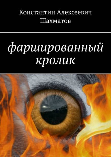 Фаршированный кролик - Константин Шахматов - Аудиокниги слушать онлайн бесплатно без регистрации | электронная библиотека knigi-audio.info