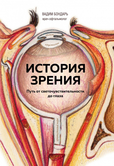 История зрения - путь от светочувствительности до глаза - Вадим Бондарь - Аудиокниги слушать онлайн бесплатно без регистрации | электронная библиотека knigi-audio.info