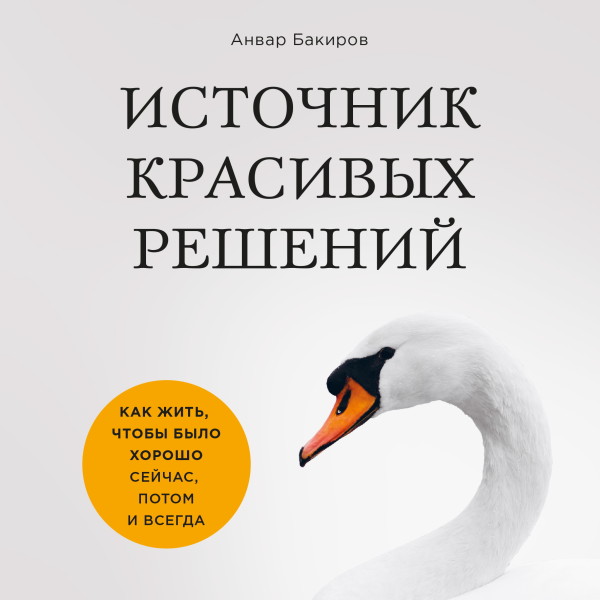 Источник красивых решений. Как жить, чтобы было хорошо сейчас, потом и всегда - Бакиров Анвар - Аудиокниги слушать онлайн бесплатно без регистрации | электронная библиотека knigi-audio.info