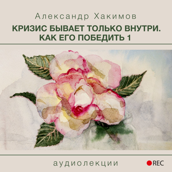 Кризис бывает только внутри. Как его победить 1 - Хакимов Александр - Аудиокниги слушать онлайн бесплатно без регистрации | электронная библиотека knigi-audio.info