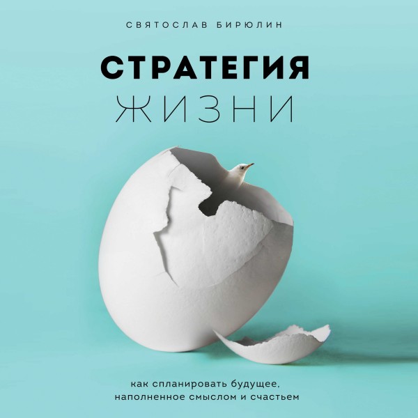 Стратегия жизни. Как спланировать будущее, наполненное смыслом и счастьем - Бирюлин Святослав - Аудиокниги слушать онлайн бесплатно без регистрации | электронная библиотека knigi-audio.info