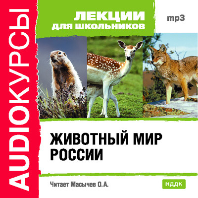 Животный мир России - Лекции для школьников - Аудиокниги слушать онлайн бесплатно без регистрации | электронная библиотека knigi-audio.info