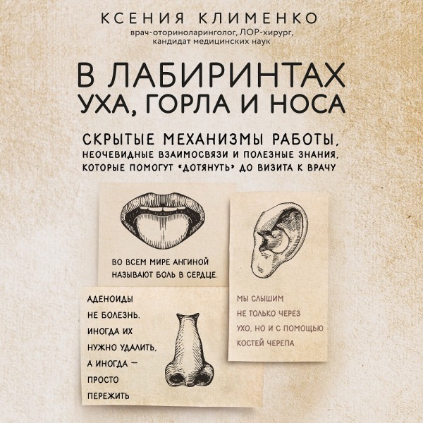 В лабиринтах уха, горла и носа. Скрытые механизмы работы, неочевидные взаимосвязи и полезные знания, которые помогут дотянуть до визита к врачу - Клименко Ксения - Аудиокниги слушать онлайн бесплатно без регистрации | электронная библиотека knigi-audio.info