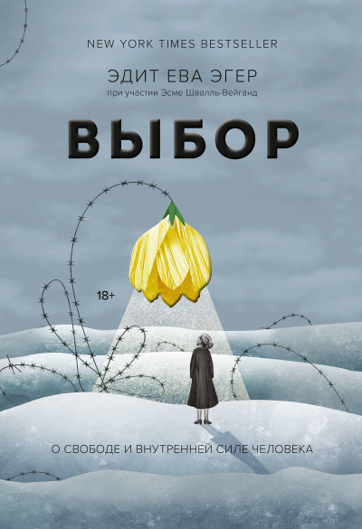 Выбор. О свободе и внутренней силе человека - Эдит Ева Эгер, Эсме Швалль-Вейганд - Аудиокниги слушать онлайн бесплатно без регистрации | электронная библиотека knigi-audio.info