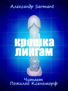 Крошка лингам - Александр Sarmant - Аудиокниги слушать онлайн бесплатно без регистрации | электронная библиотека knigi-audio.info