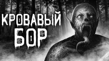 Кровавый бор - Даниил Авдеев - Аудиокниги слушать онлайн бесплатно без регистрации | электронная библиотека knigi-audio.info