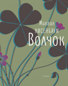 Волчок - Михаил Нисенбаум - Аудиокниги слушать онлайн бесплатно без регистрации | электронная библиотека knigi-audio.info