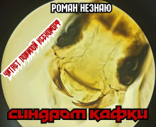 Синдром Кафки - Роман Незнаю - Аудиокниги слушать онлайн бесплатно без регистрации | электронная библиотека knigi-audio.info
