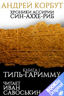 Тиль Гаримму - Андрей Корбут - Аудиокниги слушать онлайн бесплатно без регистрации | электронная библиотека knigi-audio.info