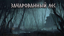 Зачарованный лес - Александр Цзи - Аудиокниги слушать онлайн бесплатно без регистрации | электронная библиотека knigi-audio.info