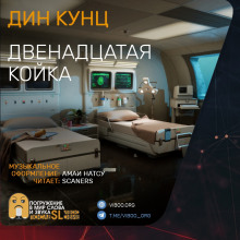 Двенадцатая койка - Дин Кунц - Аудиокниги слушать онлайн бесплатно без регистрации | электронная библиотека knigi-audio.info