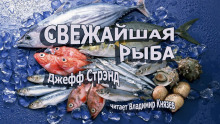 Свежайшая рыба - Джефф Стрэнд - Аудиокниги слушать онлайн бесплатно без регистрации | электронная библиотека knigi-audio.info