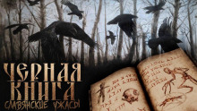Чёрная книга Дикого леса - Денис Морозов - Аудиокниги слушать онлайн бесплатно без регистрации | электронная библиотека knigi-audio.info