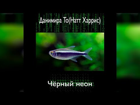 Данимира То - Черный неон (аудиокнига) | фантастика, цифровое бессмертие - Аудиокниги слушать онлайн бесплатно без регистрации | электронная библиотека knigi-audio.info
