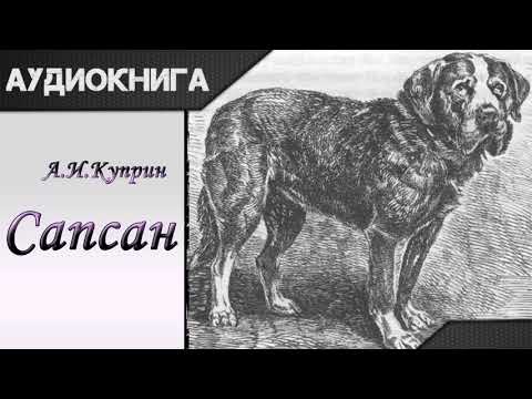 "Сапсан" А.И.Куприн. Аудиокнига - Аудиокниги слушать онлайн бесплатно без регистрации | электронная библиотека knigi-audio.info
