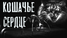 Кошачье сердце - Руслан Темир - Аудиокниги слушать онлайн бесплатно без регистрации | электронная библиотека knigi-audio.info