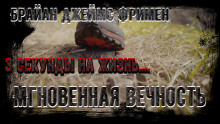 Мгновенная вечность - Брайан Джеймс Фримен - Аудиокниги слушать онлайн бесплатно без регистрации | электронная библиотека knigi-audio.info