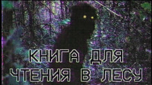 Книга для чтения в лесу - Grey - Аудиокниги слушать онлайн бесплатно без регистрации | электронная библиотека knigi-audio.info