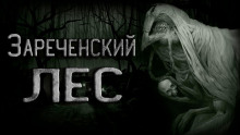 Легенда Зареченского леса - Ирина Тунова - Аудиокниги слушать онлайн бесплатно без регистрации | электронная библиотека knigi-audio.info