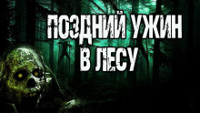 Поздний ужин в лесу - Ульяна Лобаева - Аудиокниги слушать онлайн бесплатно без регистрации | электронная библиотека knigi-audio.info