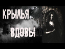 Крылья вдовы - Мария Токарева - Аудиокниги слушать онлайн бесплатно без регистрации | электронная библиотека knigi-audio.info