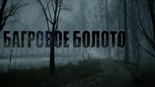Багровое болото - Игорь Шанин - Аудиокниги слушать онлайн бесплатно без регистрации | электронная библиотека knigi-audio.info