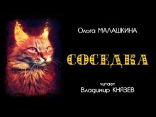 Соседка - Ольга Малашкина - Аудиокниги слушать онлайн бесплатно без регистрации | электронная библиотека knigi-audio.info