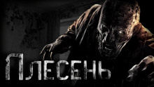 Плесень - Руслан Темир - Аудиокниги слушать онлайн бесплатно без регистрации | электронная библиотека knigi-audio.info