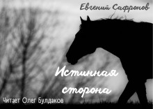 Истинная сторона - Евгений Сафронов - Аудиокниги слушать онлайн бесплатно без регистрации | электронная библиотека knigi-audio.info